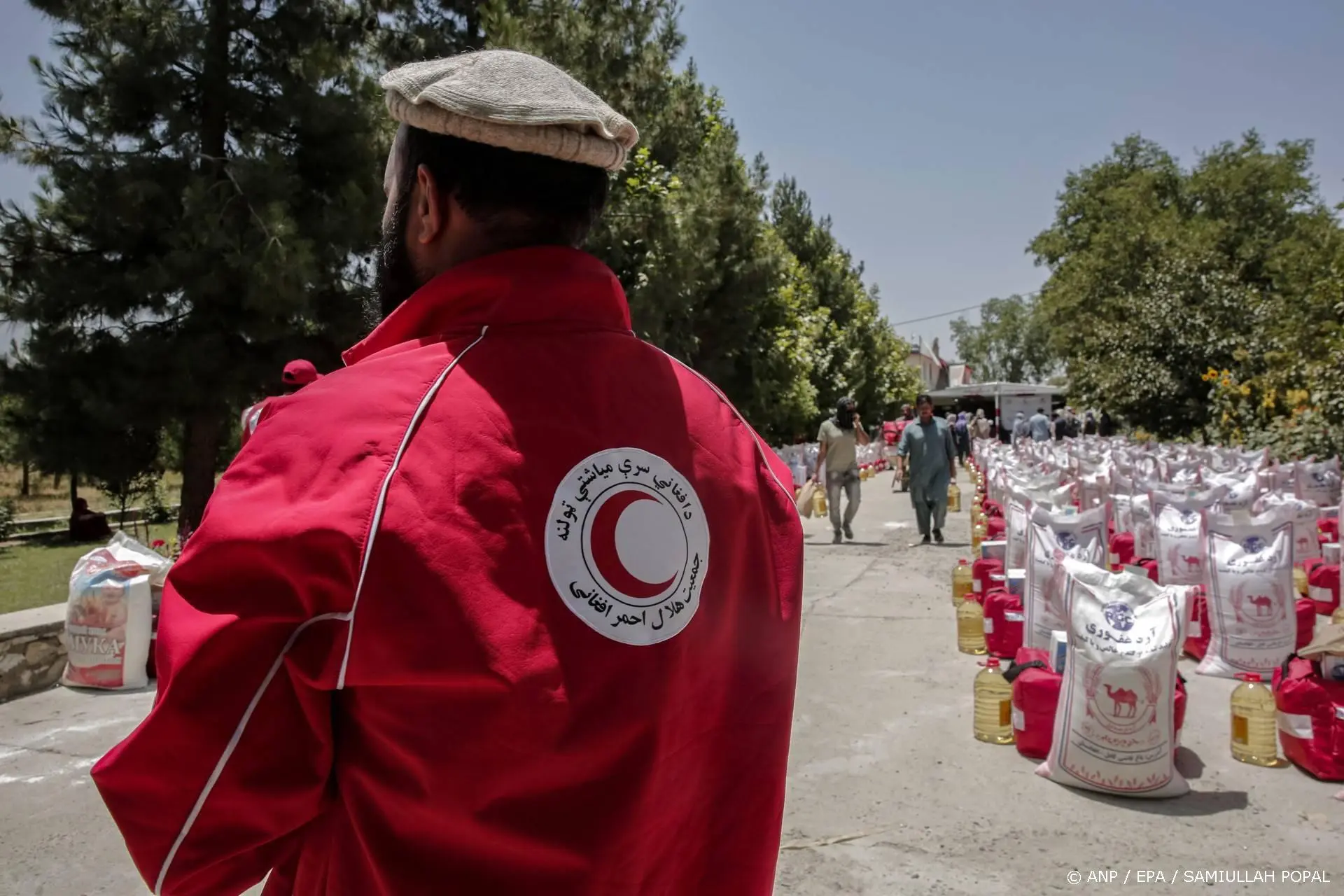 anp150126136 1