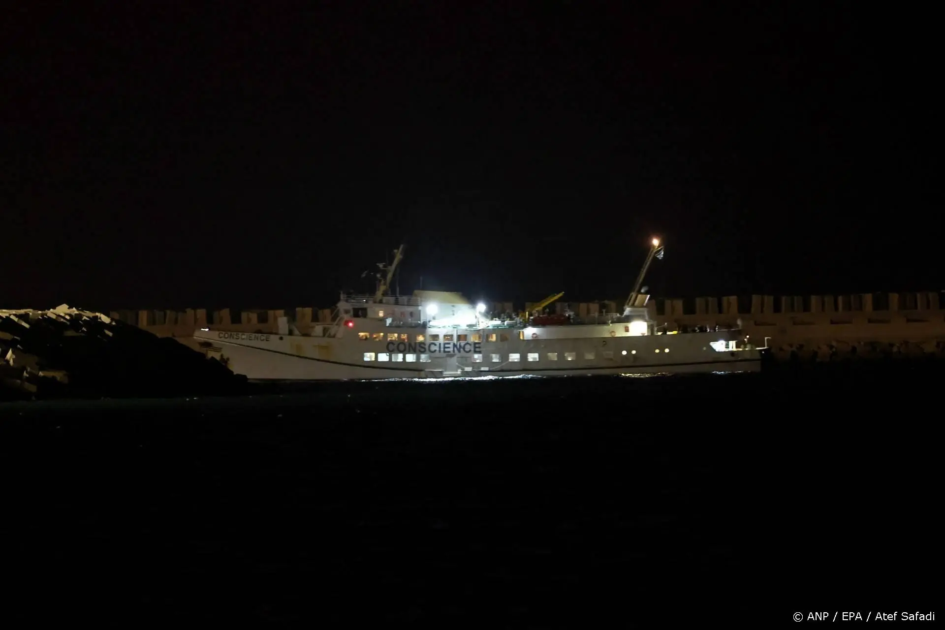 anp060226117 1