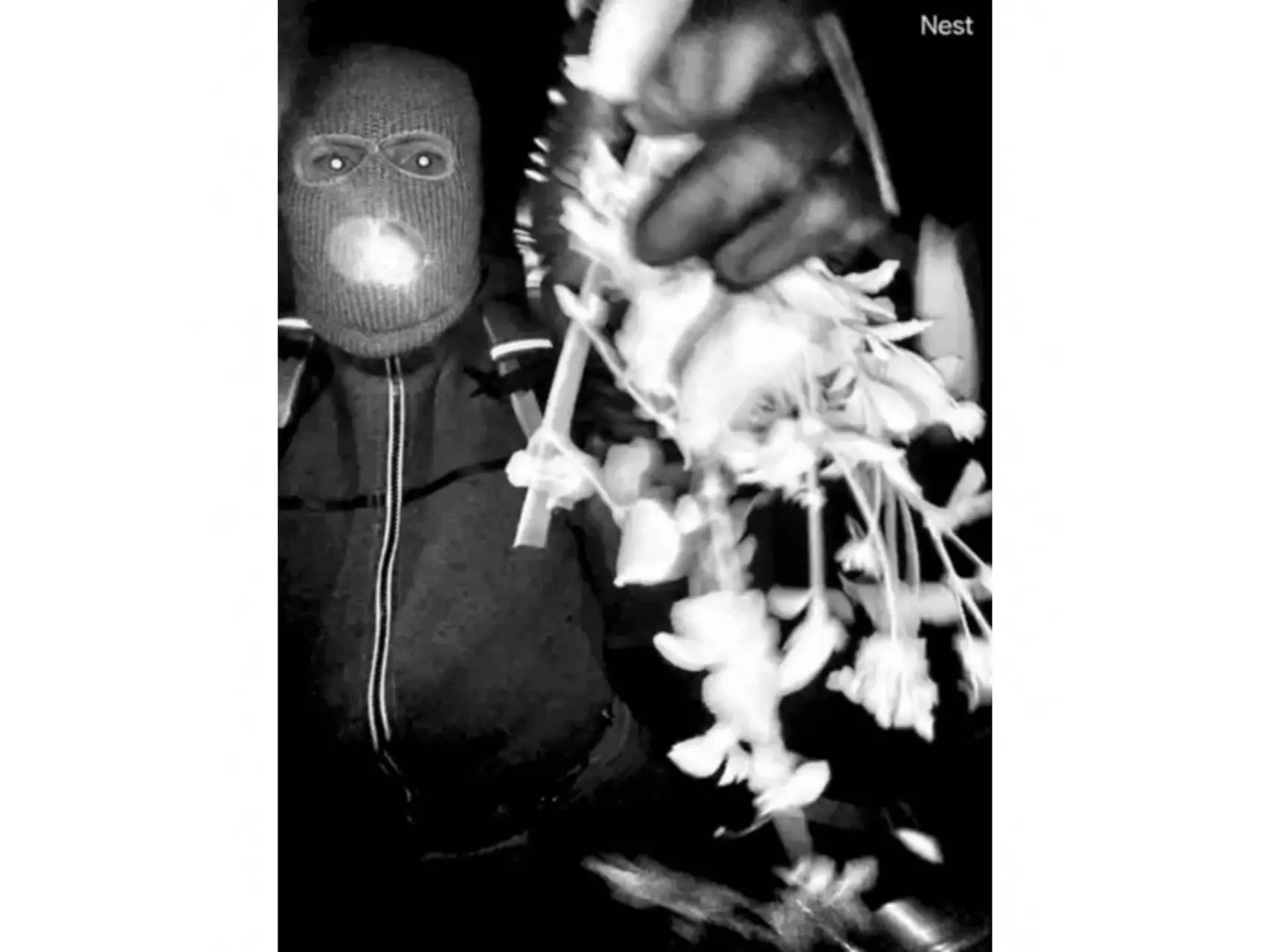 anp130226098 1