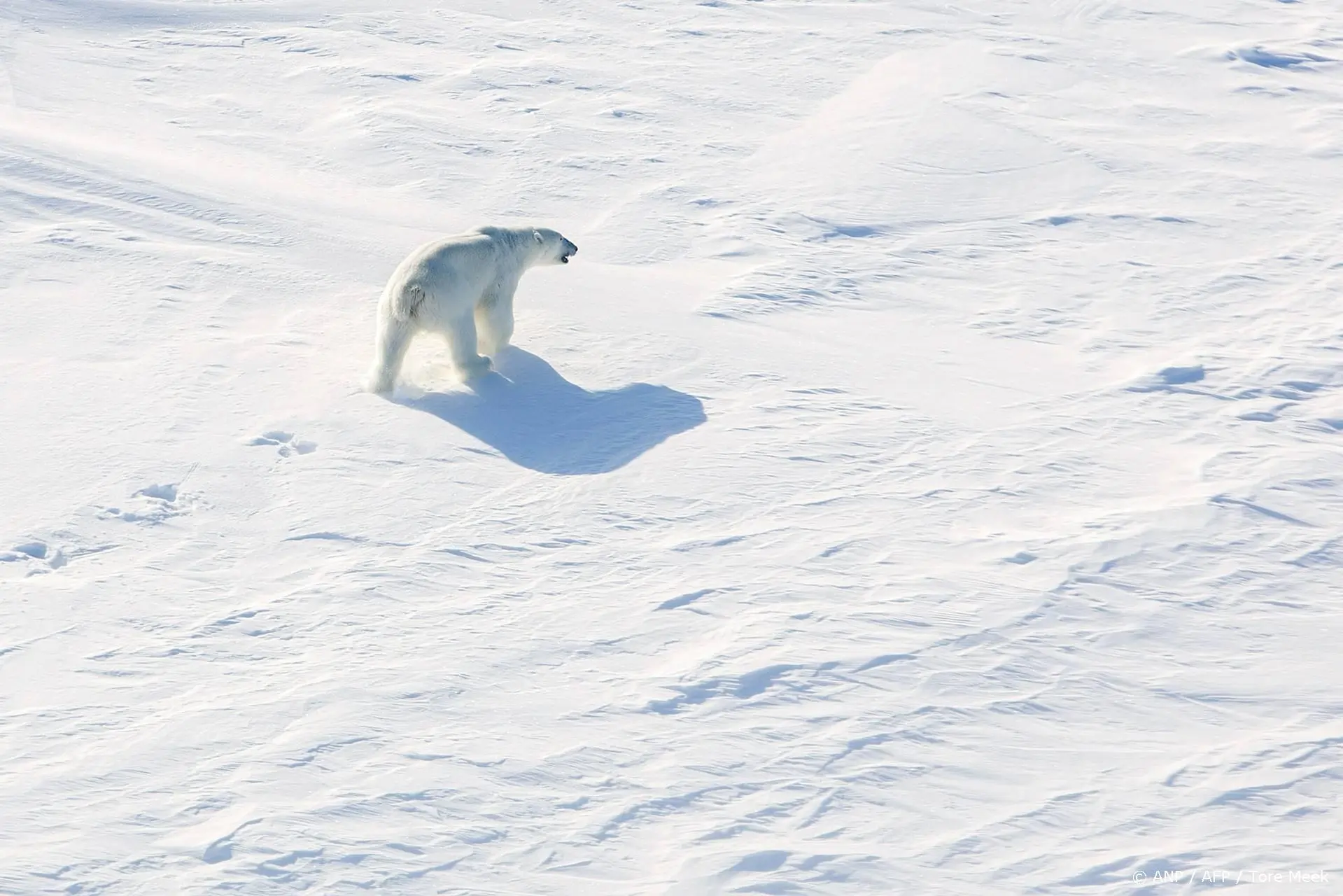 anp150326085 1
