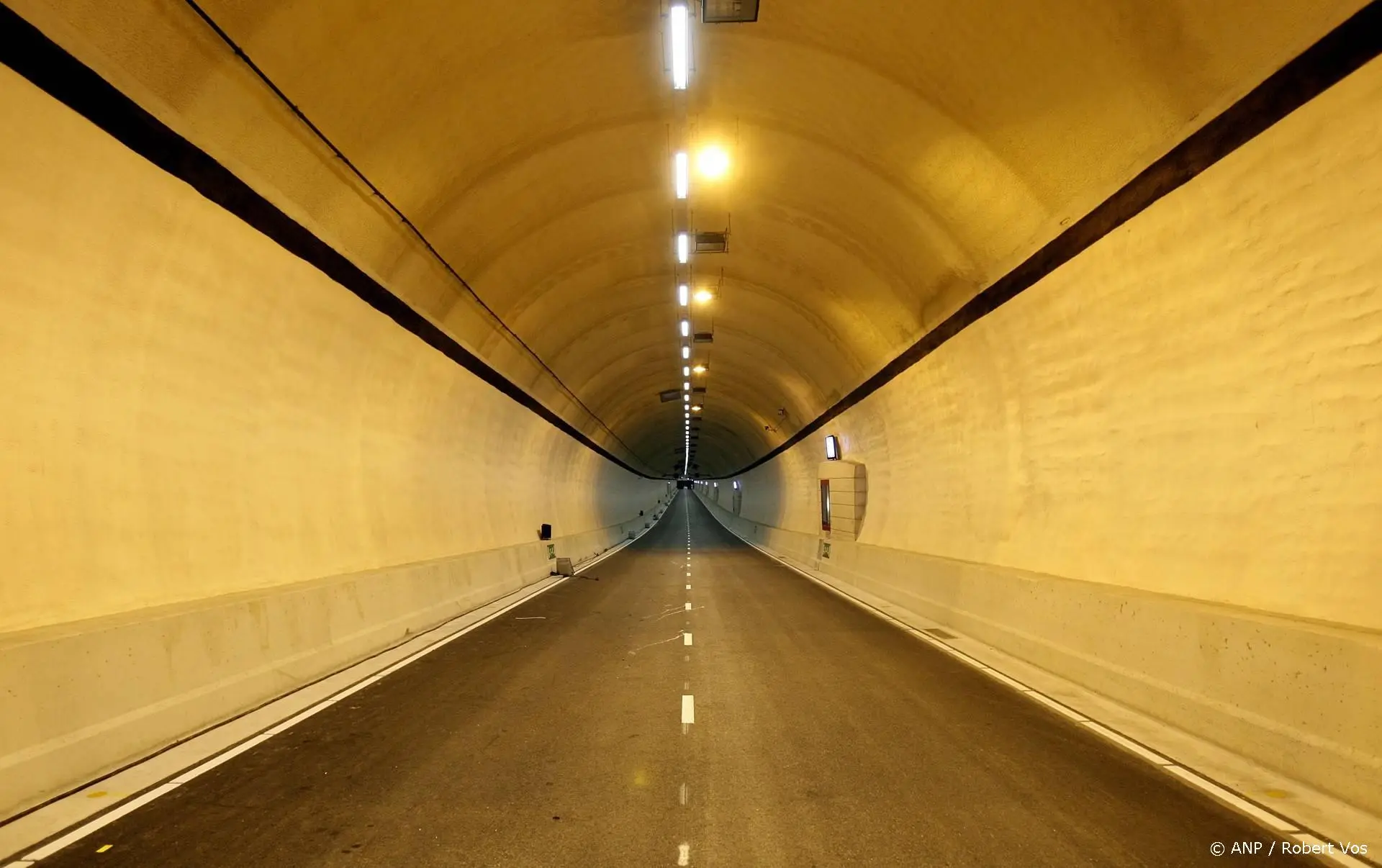 anp010426104 1