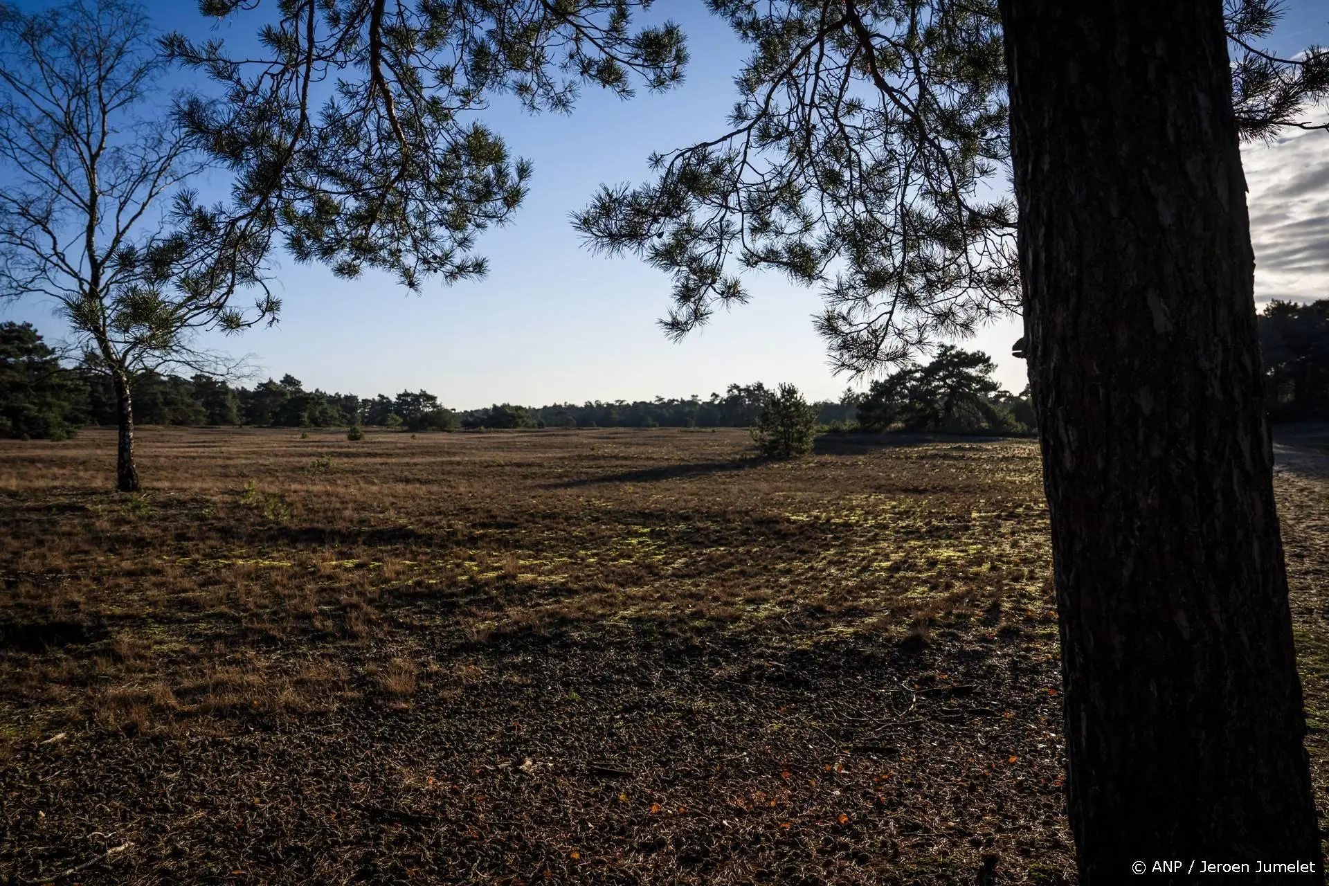 anp210426157 1