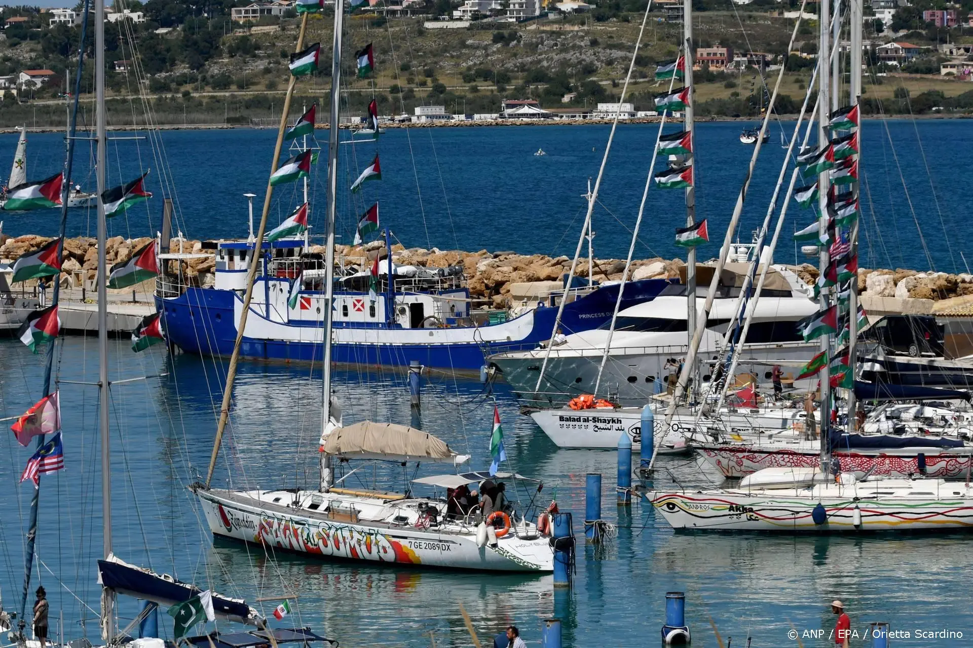 anp260426120 1