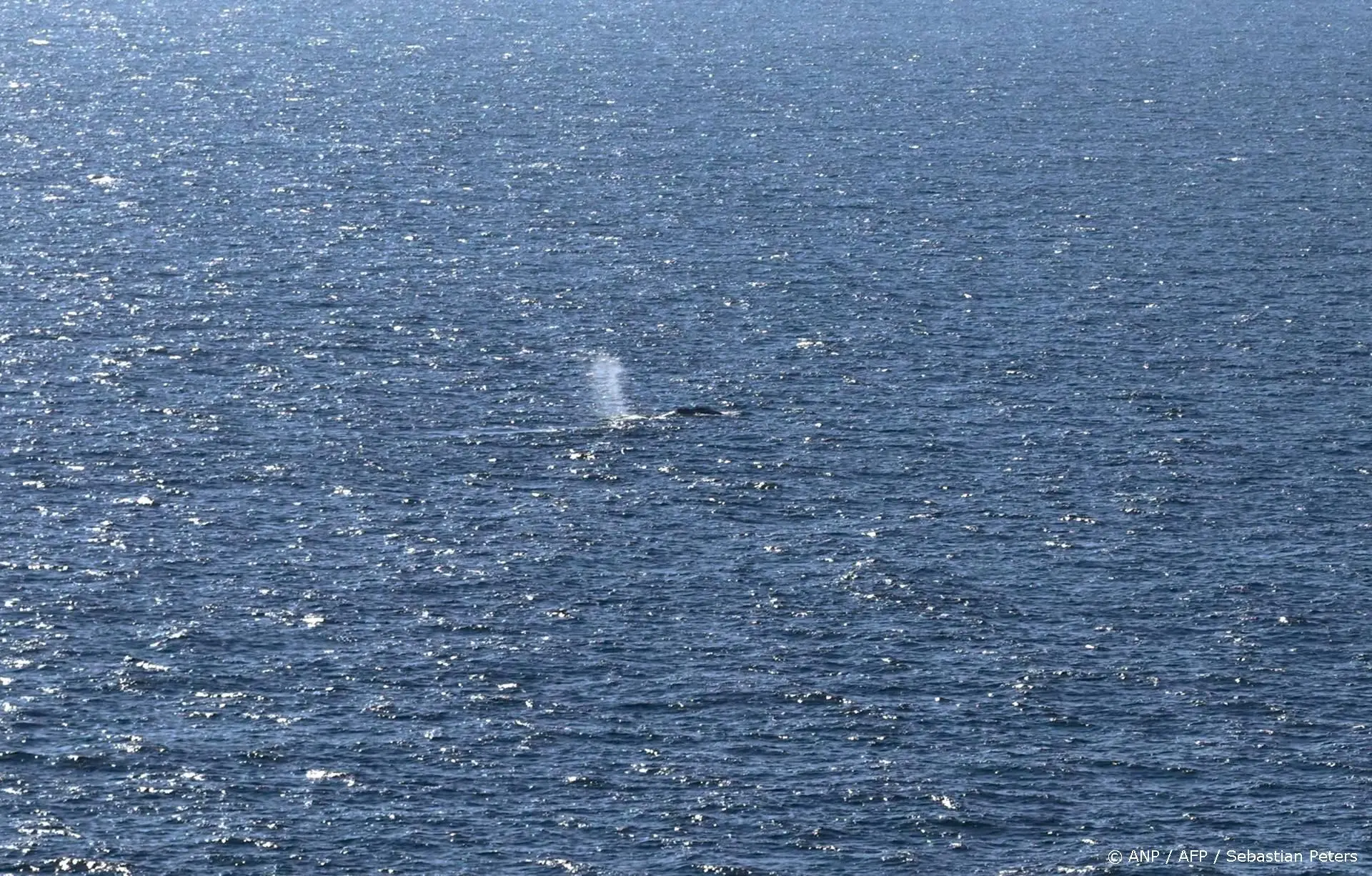 anp150526088 1