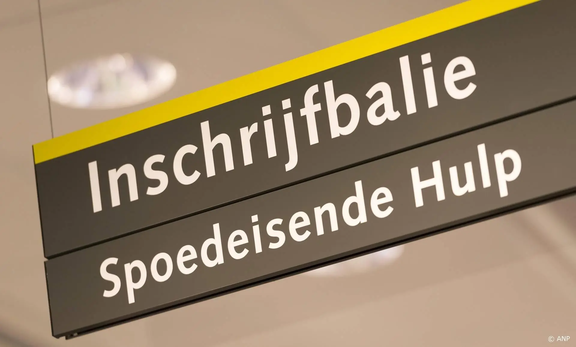 anp010626163 1