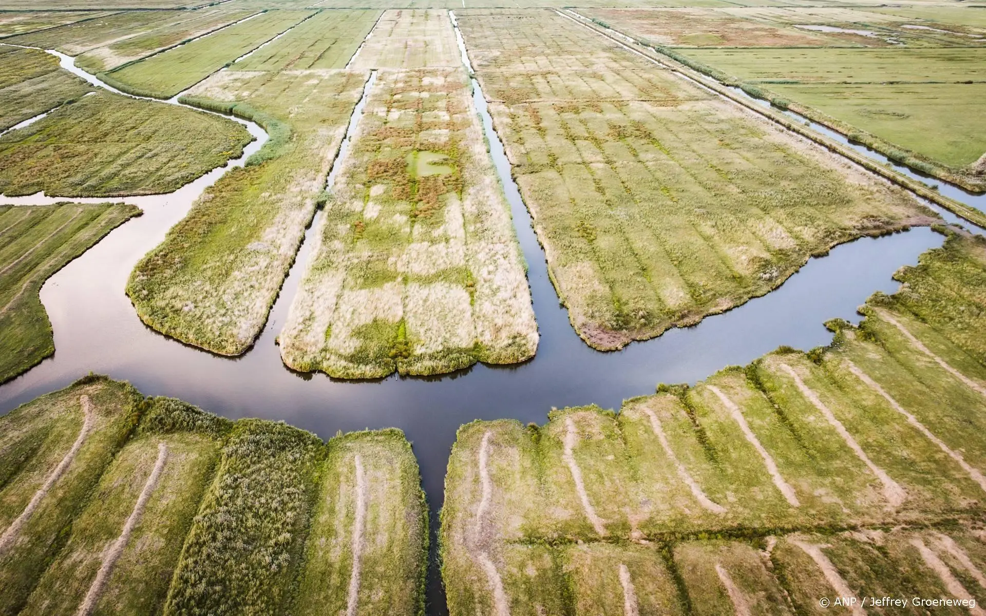 anp160726127 1