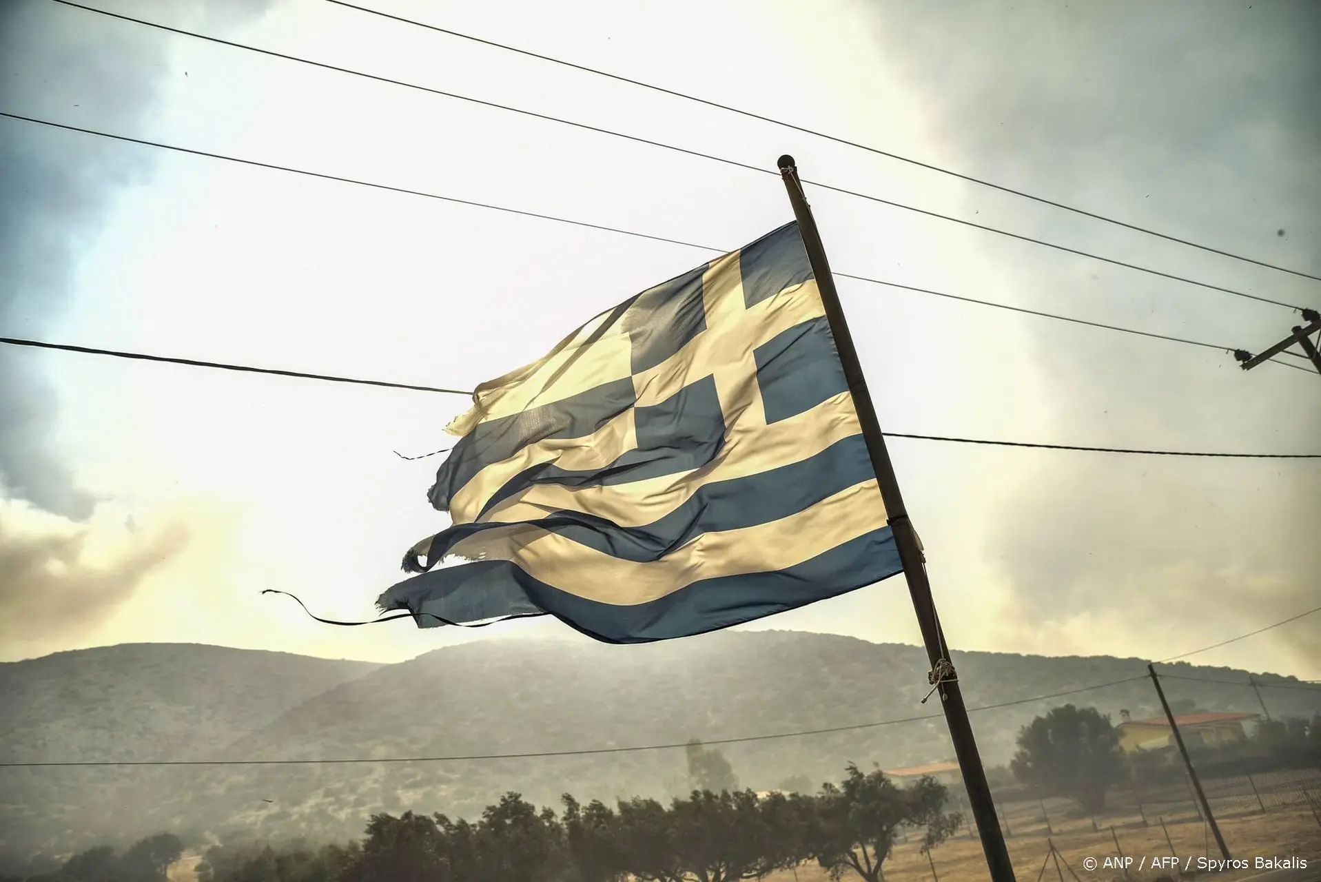 anp100826075 1