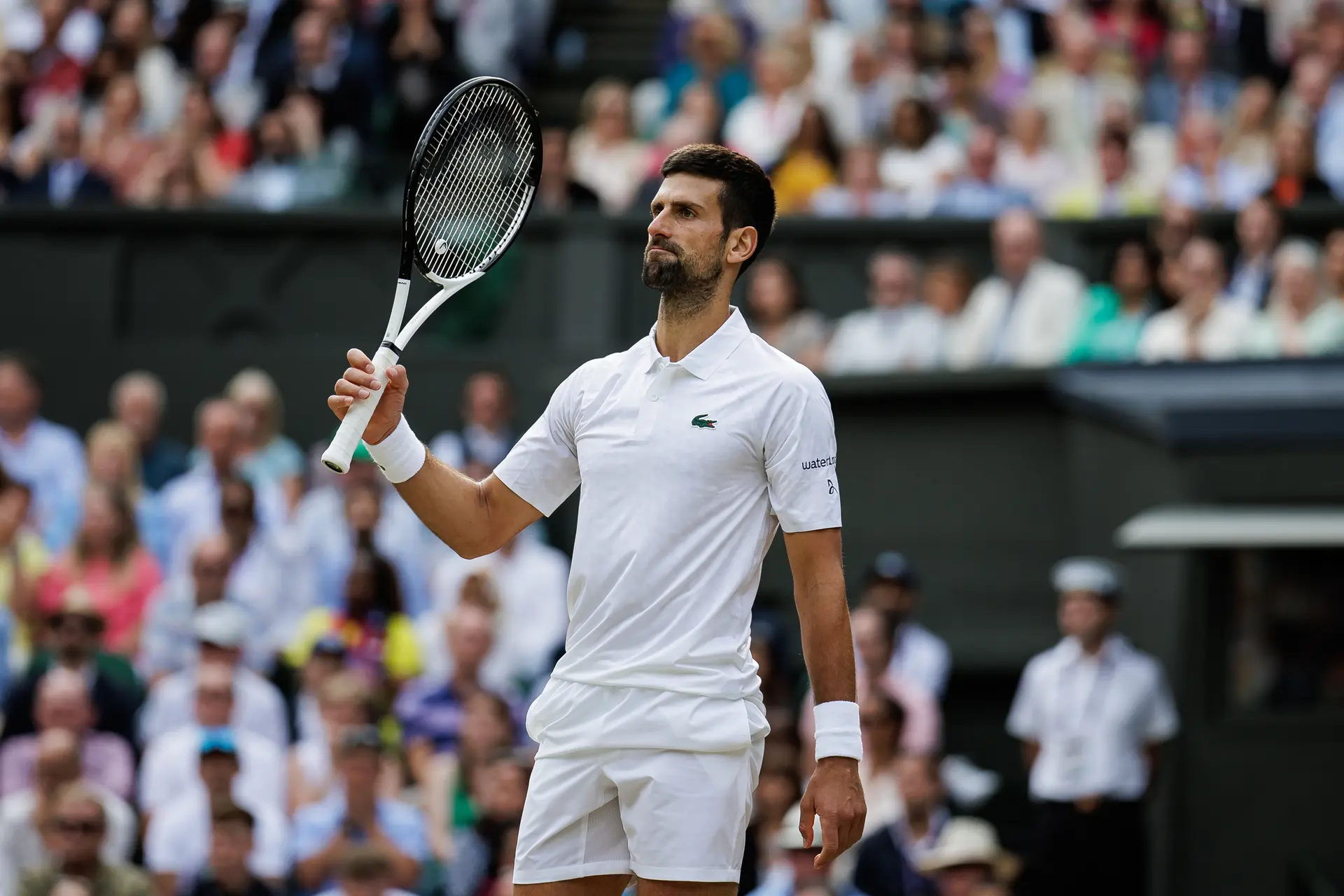 djokovic novak wimbledon23 tpn3