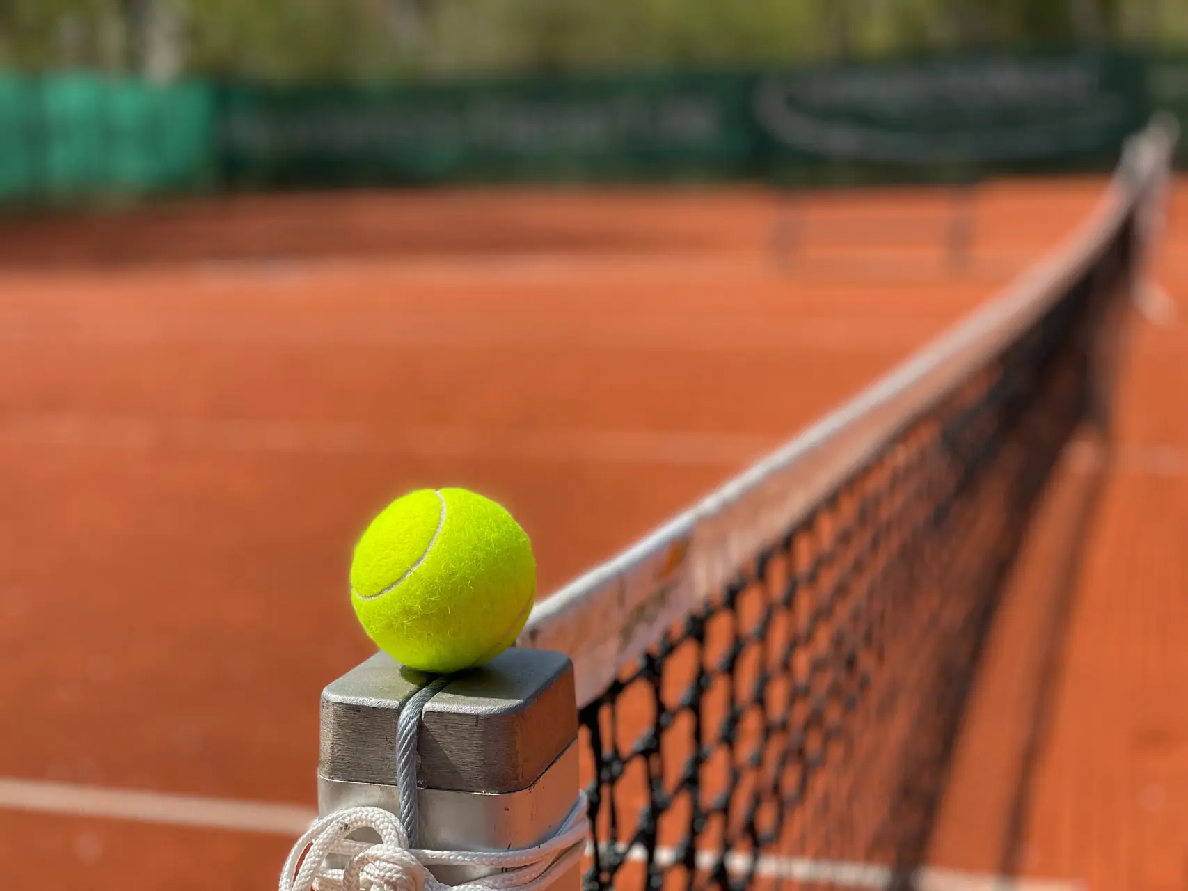 matthias david 0wbyolzwdpy unsplash