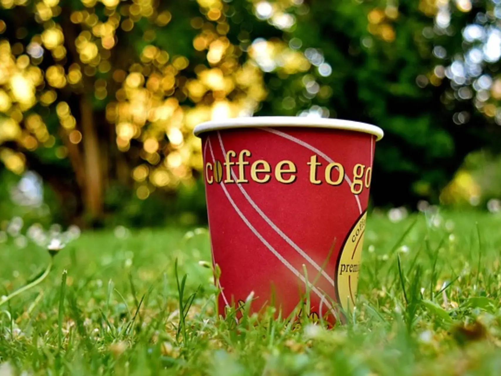 coffee to go