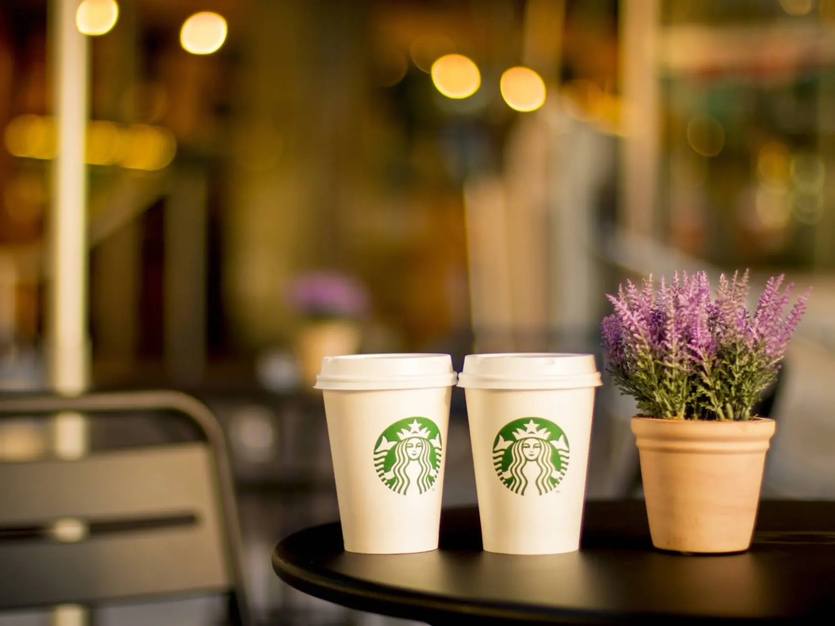 starbucks kopjes