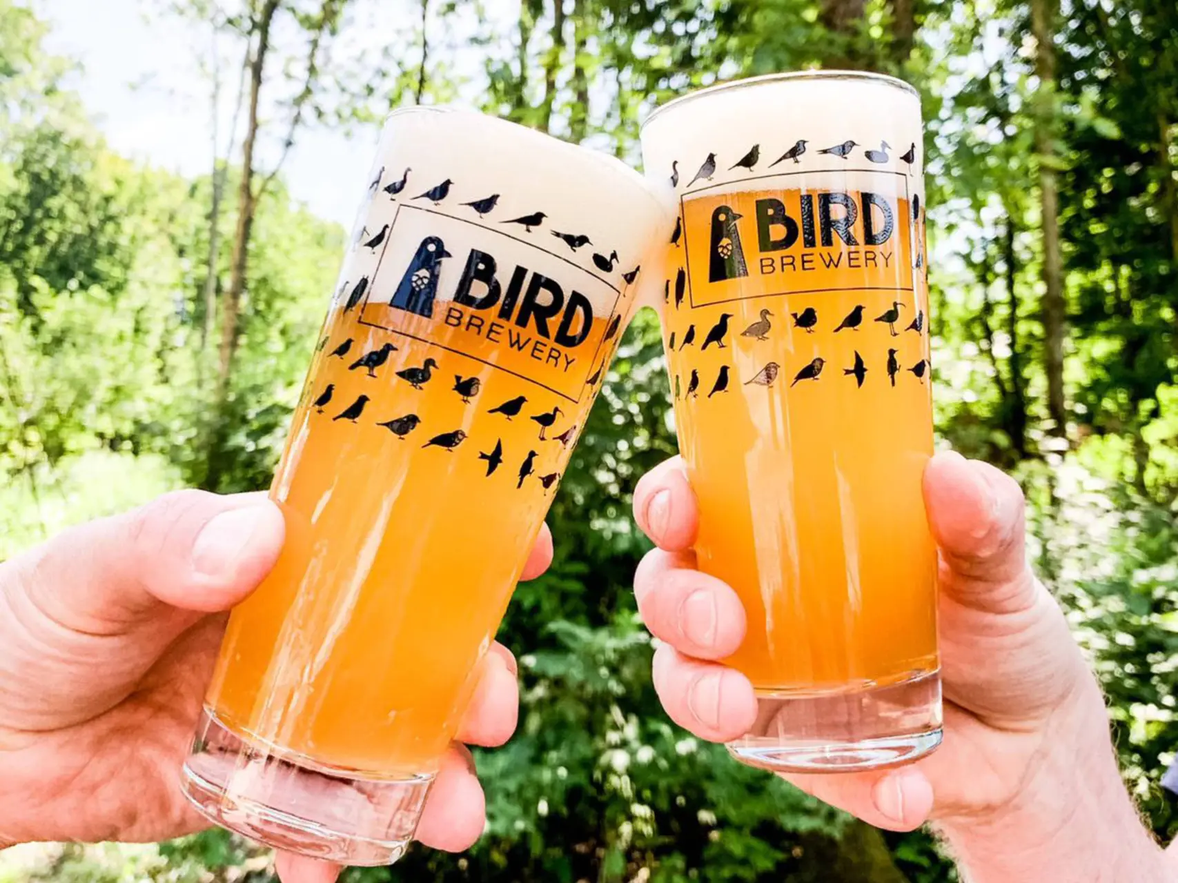 bird brewery glazen bier