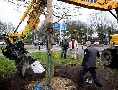ed20250227 1043 nuenen het bedrijf van fons linders bestond vorig jaar 50 jaar vanwege vergunningen gaat hij pas nu een jubileumboom planten