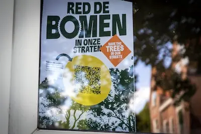 serie afgekocht adr ar20240704 0003 schiedam sint liduinastraat 73b onrust over bomenkap