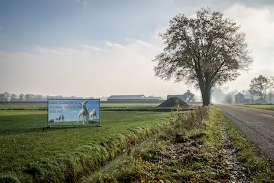 serie afgekocht ed ed20231130 0004 helmond her en daar staan in lungendonk protestborden in de wei tegen de voorgenomen aanleg van een industrieterrein
