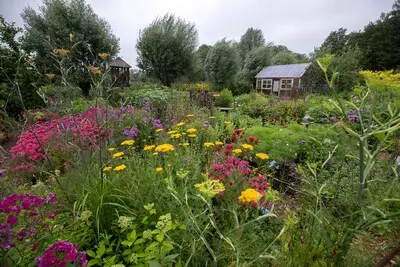 serie afgekocht nederwetten ed2021 12404 het verborgen paradijs een schitterende tuin van marie christien kop