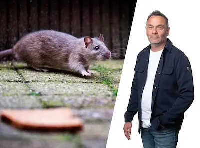 vrije foto delft rat in de tuin foto guus schoonewille serie afgekocht adr rotterdam 16 05 2024 portret van stephan reket foto joost hoving
