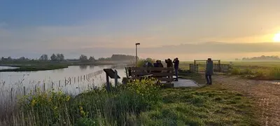 foto s maken van vogels in t kraaiennest
