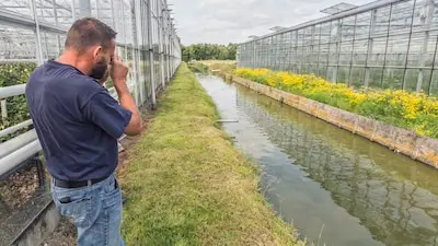 een medewerker van delfland inspecteert een sloot tussen de kassen