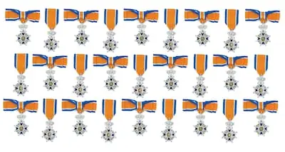 onderscheiding lid in de orde van oranje nassau dame