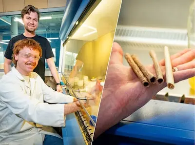 serie afgekocht adr joram boumans en jason smit hebben 22 000 euro subsidie van de gemeente rotterdam gewonnen voor hun rietjes gemaakt van cellulose