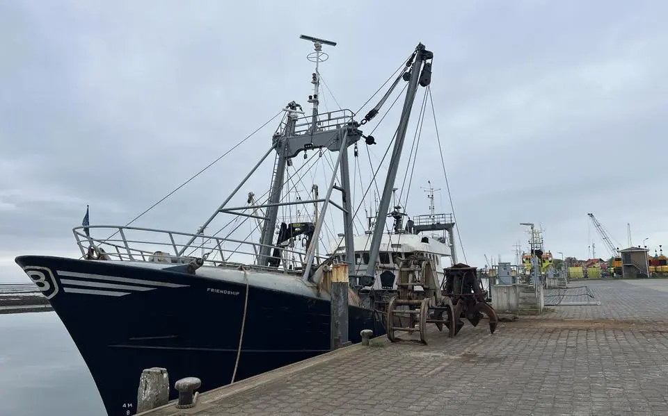 werkhavenfriendshipterschelling2025