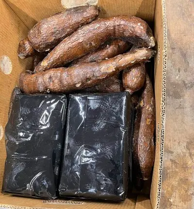 drugs in de container