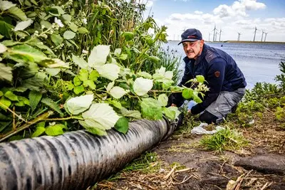 serie afgekocht adr ar20250522 4041 oude tonge vrachtwagens met water rijden naar zeeland om land te beregenen door droogte