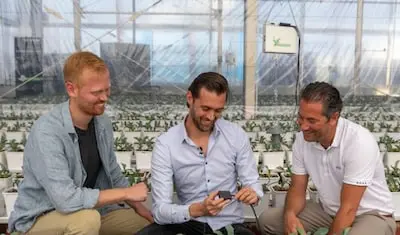 van links naar rechts tim koning projectleider innovatie bij division q michael meijler automatiseringsbedrijf in de tuinbouw wps en jaimy bosch directeur van texplor bij glastuinbouwbedrijf koppert cress uit monster