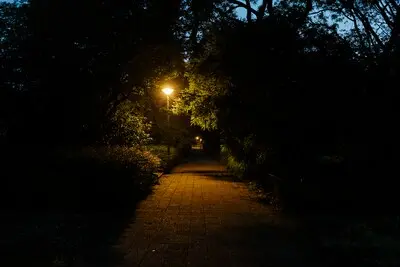 amsterdam 12 juni 2019 gijsbrecht van aemstelpark in de avonduren foto marc driessen