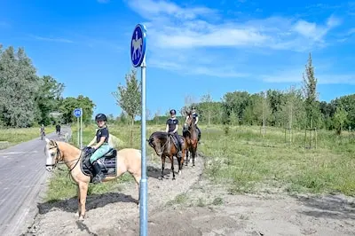 ar20250612 0896 14 06 2025 burendag voor bewoners langs rijksweg a16 rotterdam