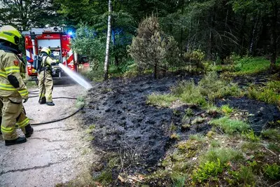 de brandweer blust een natuurbrand aan de beekhuizenseweg bij velp