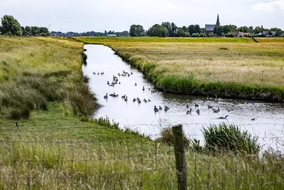 dijkinspecteur auke visser senior technisch specialist bij hoogheemraadschap delfland legt op de dijk langs de zweth uit hoe een dijkinspectie in zijn werk gaat den hoorn 4 juni 2025 foto nico schouten
