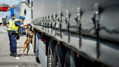 een hondengeleider van de koninklijke marechaussee controleert vrachtwagens op eventuele verstekelingen die via hoek van holland met de boot naar harwich gaan beeld ter illustratie