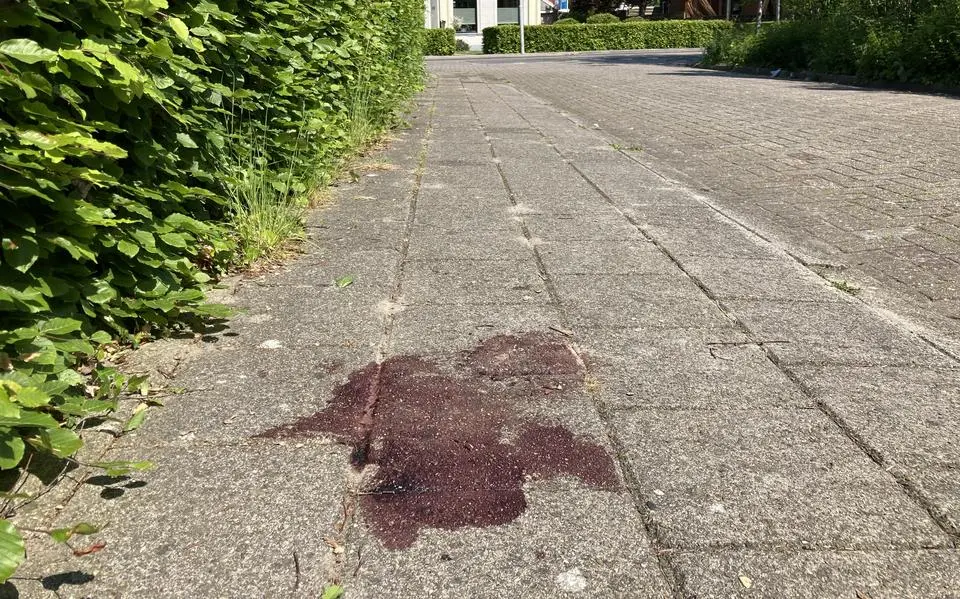 bloedstanne