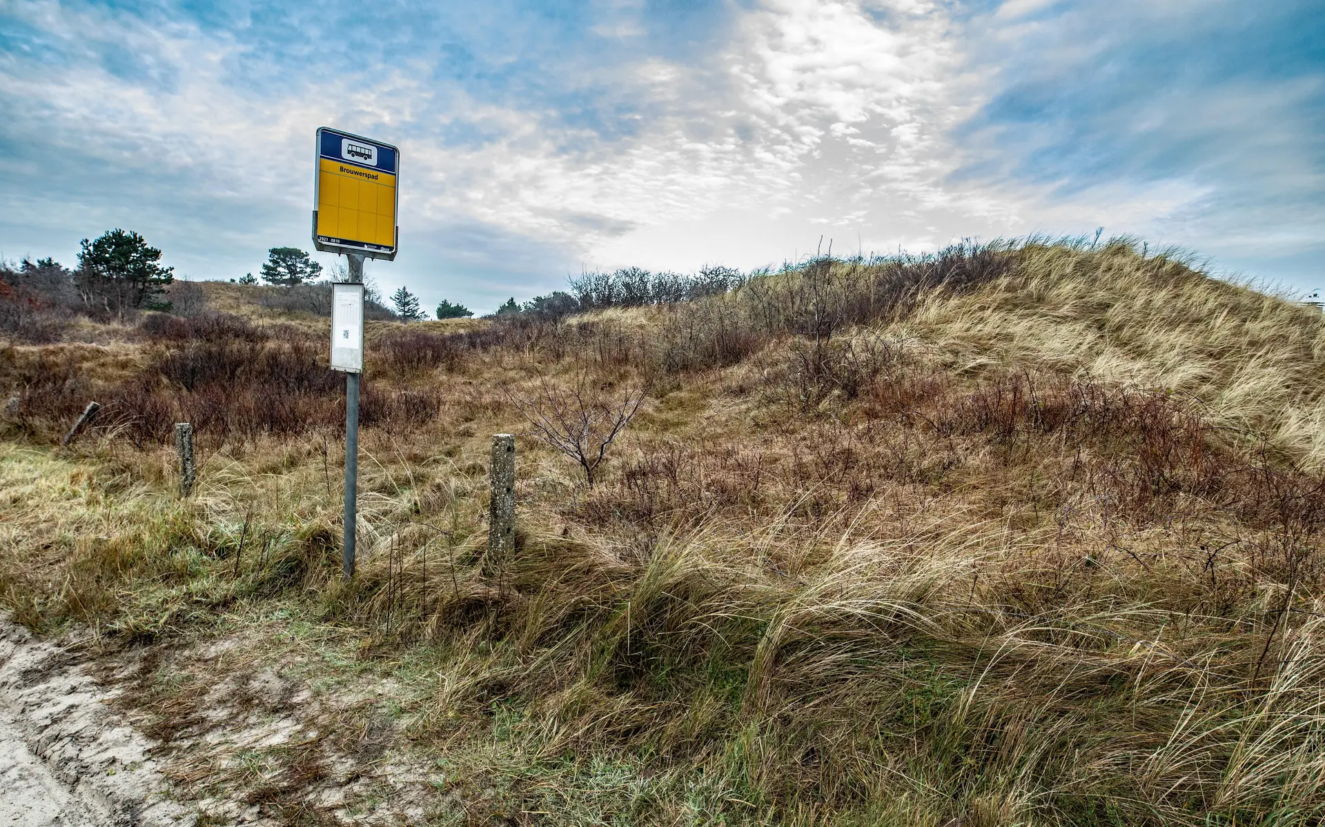 burenvillaameland2025