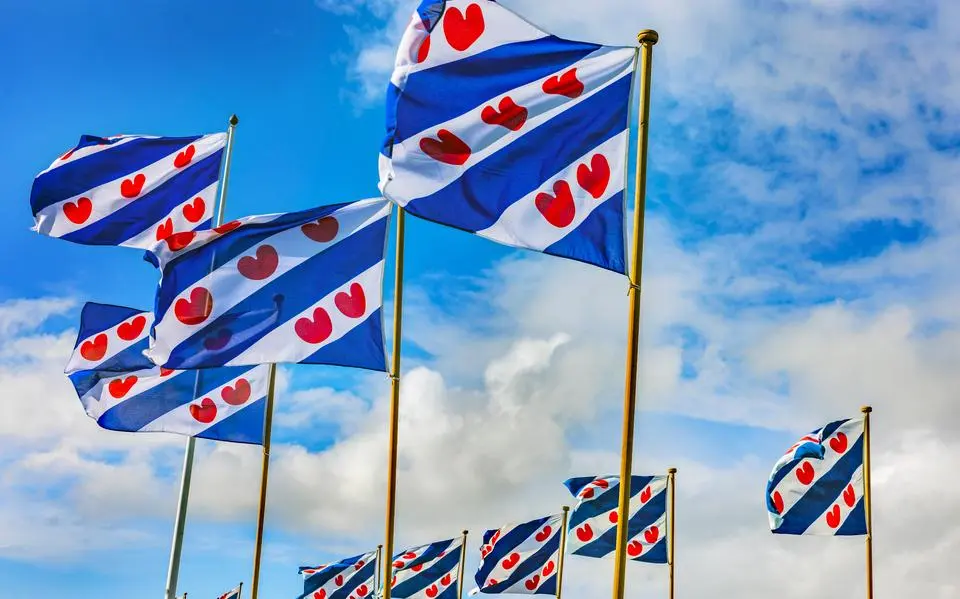 friese20vlaggen