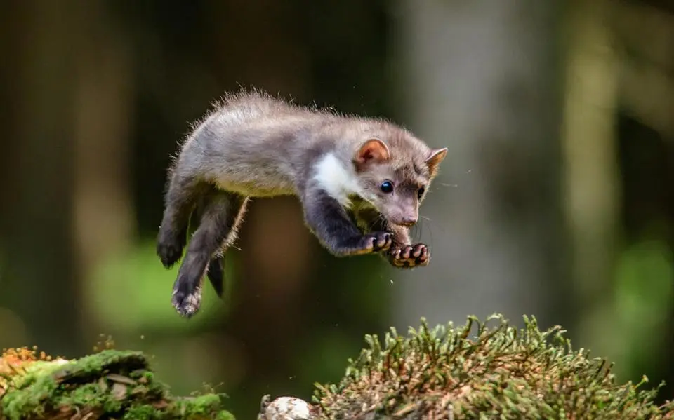 shutterstock 683470399