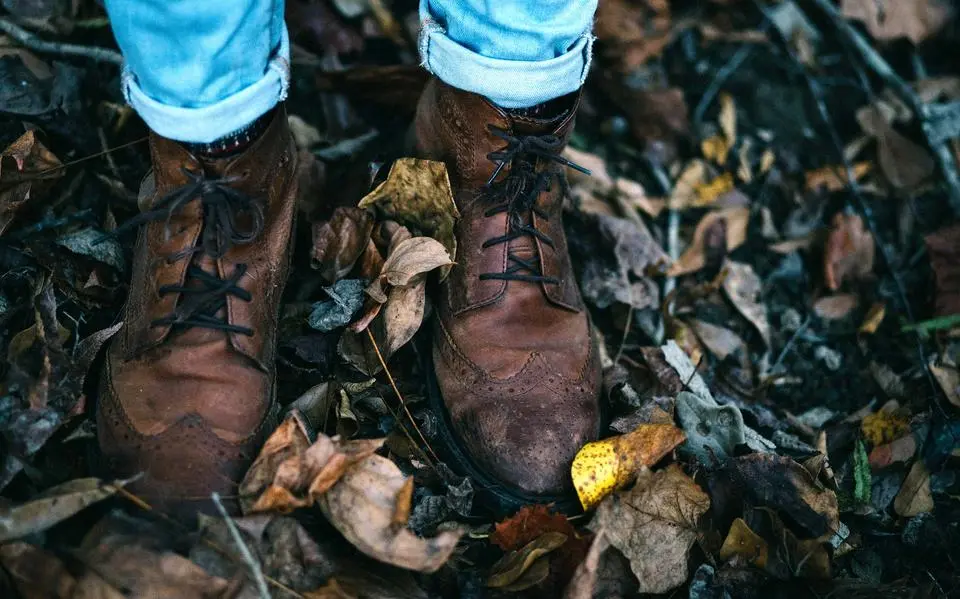 herfst20beeld20gratis20beeldbank20unsplash