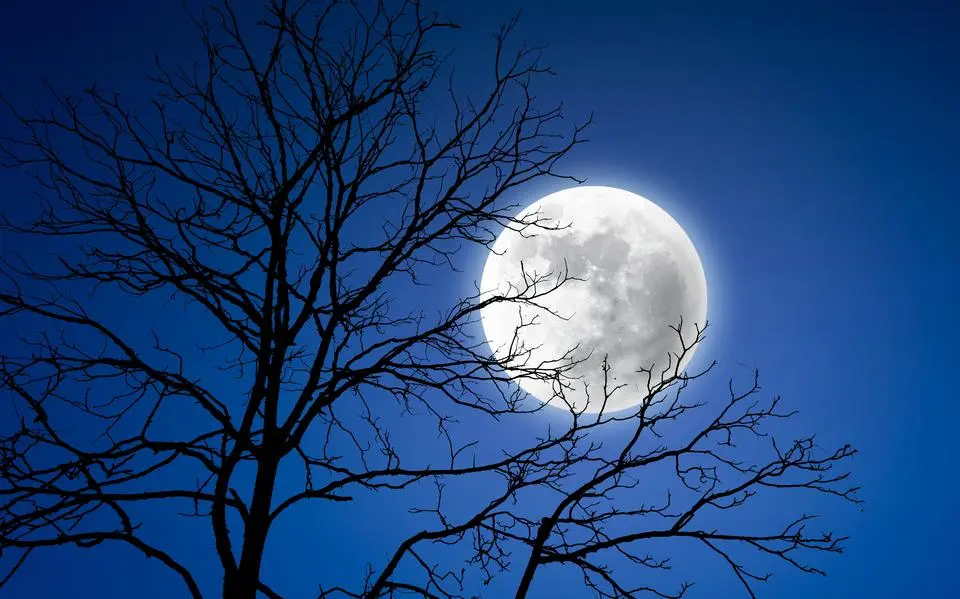 shutterstock 2204081791
