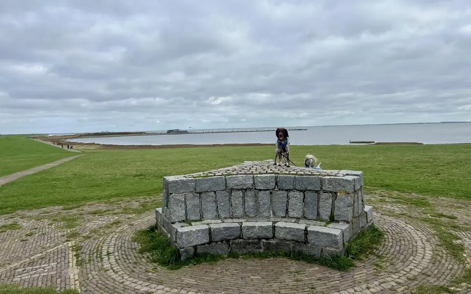 dijkschiermonnikoogbanck2026