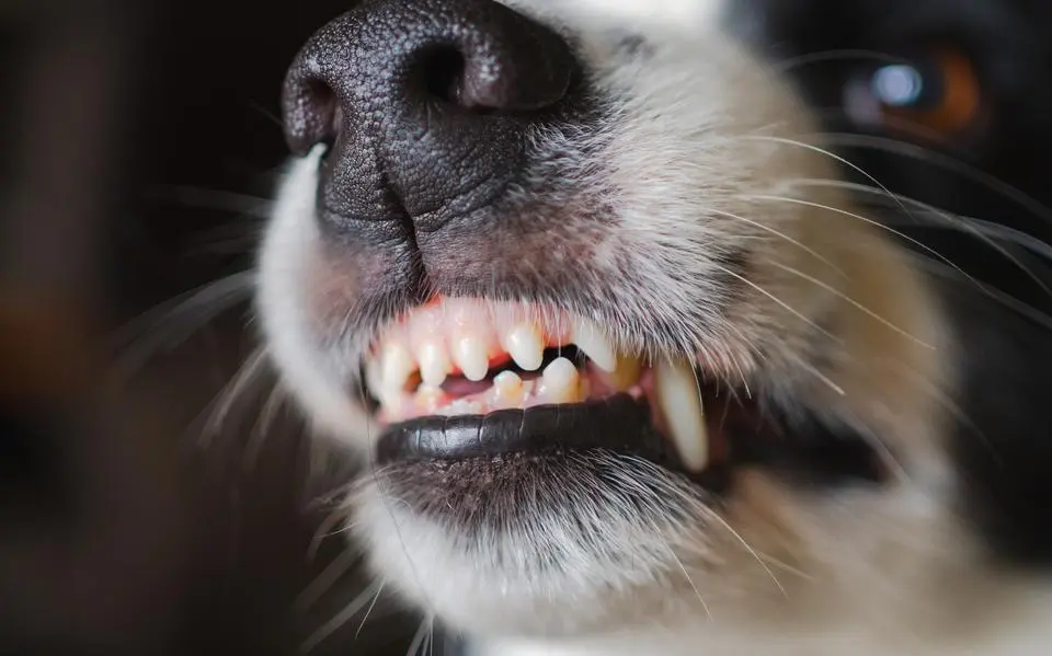 shutterstock 2534474809