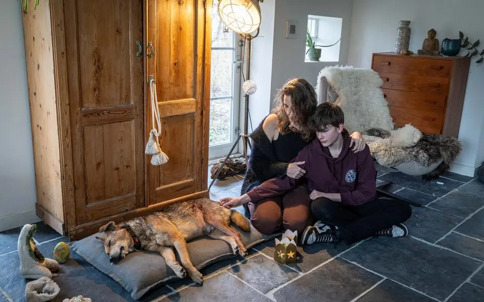 202601314421 1