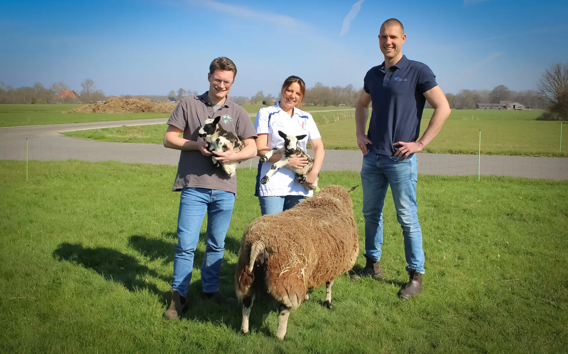 dierenartsenheerenveensevenwolden