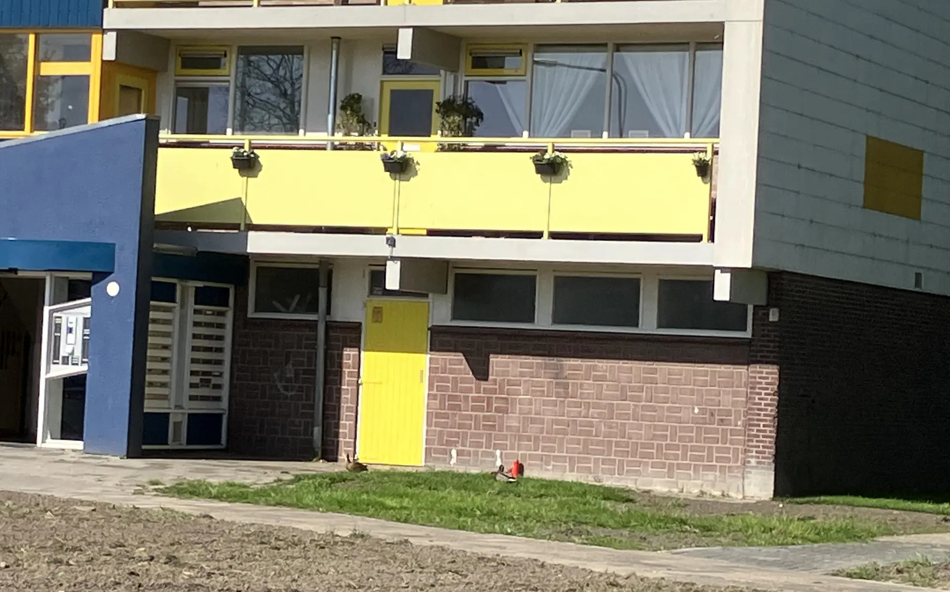 sneek2
