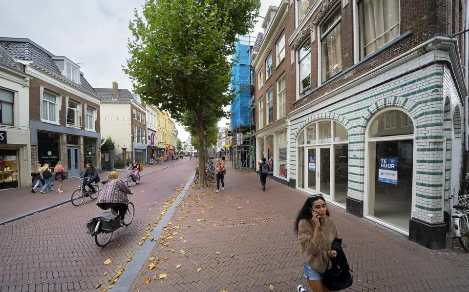 wirdumerdijk