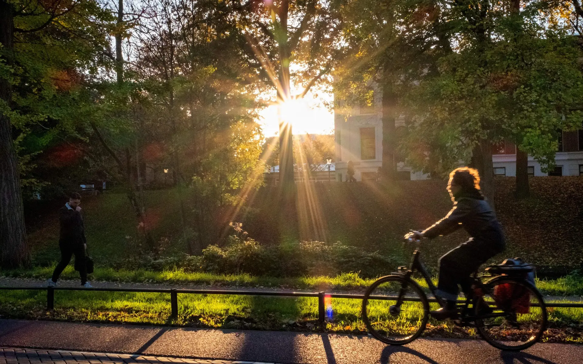 zon20herfst20weerbericht20fiets20fietser20anp 541493827