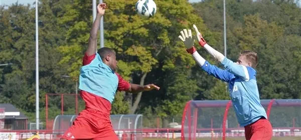 daniels plattel jong fc twente