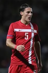 nemanja gudelj