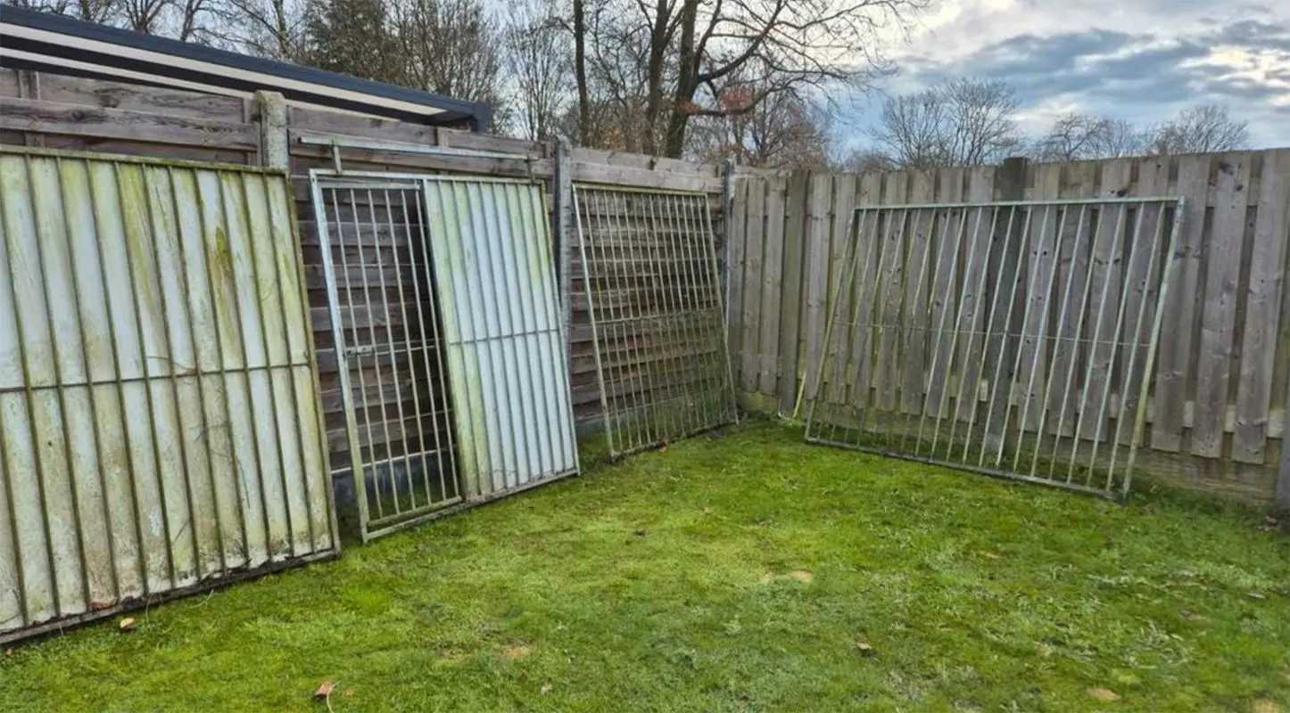 thumb viraal te koop op marktplaats hondenkennel of toch iets anders